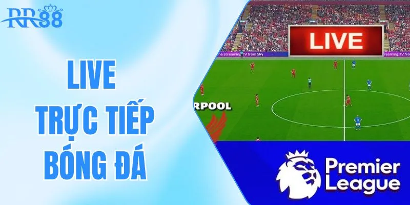 live trực tiếp bóng đá